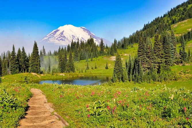 private-mt-rainier-national-park-tour-in-suv