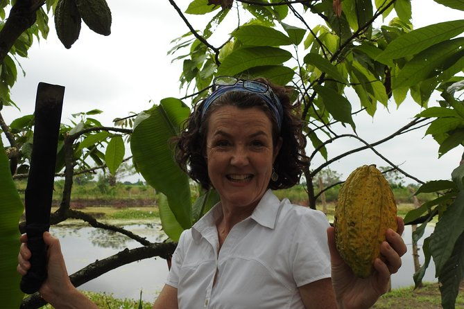 private-navigation-through-mangroves-forest-beach-time-chocolate-experience