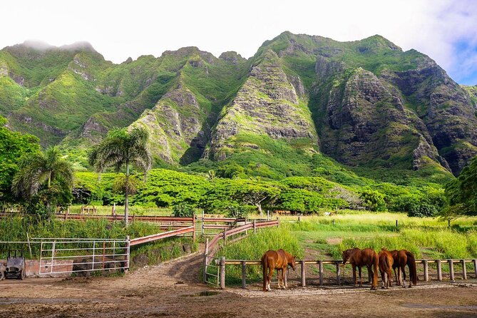 private-oahu-full-circle-islander-tour-with-pickup