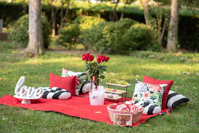 private-picnic-experience-in-the-queen-city