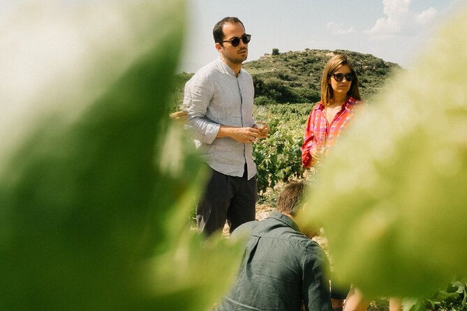 private-rioja-wine-tour-of-vines-and-wines-in-spain
