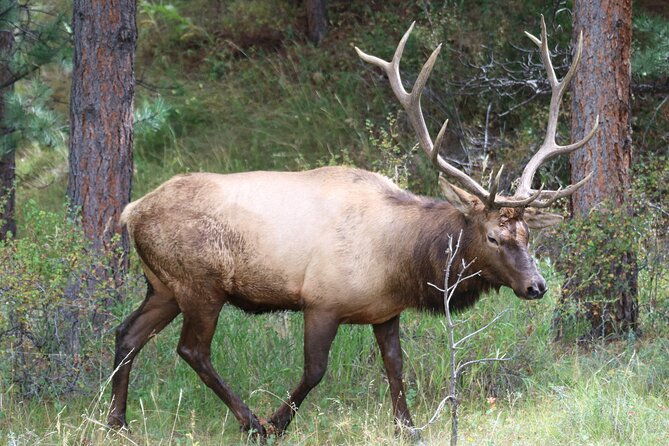private-rocky-mountain-national-park-6-hour-tour
