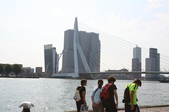 private-rotterdam-walking-tour-guided-by-architects