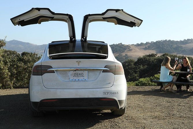 private-santa-barbara-winery-and-estate-tour-in-tesla-suv