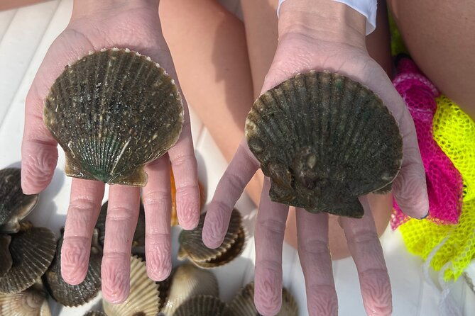 private-scallop-charter-in-crystal-river