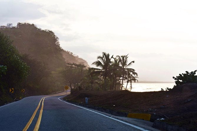 private-shuttle-service-from-santa-marta-airport-to-palomino