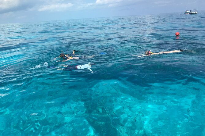 private-snorkel-to-key-largo-reef-for-up-to-12-includes-gear