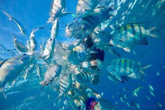 private-snorkeling-all-inclusive-bahia-de-sosua
