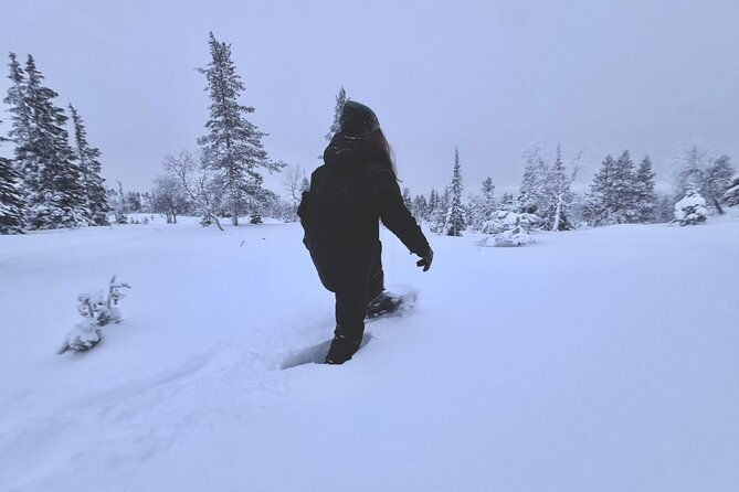private-snowshoeing-tour-in-national-park