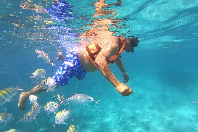 private-speed-boat-experience-with-snorkeling-in-punta-cana