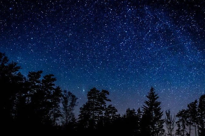 private-stargazing-sequoia-national-park-2