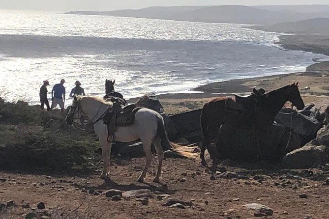 private-sunset-horseback-ride