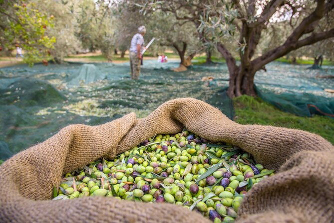 private-tailored-full-day-taste-tour-in-lefkada-with-pick-up