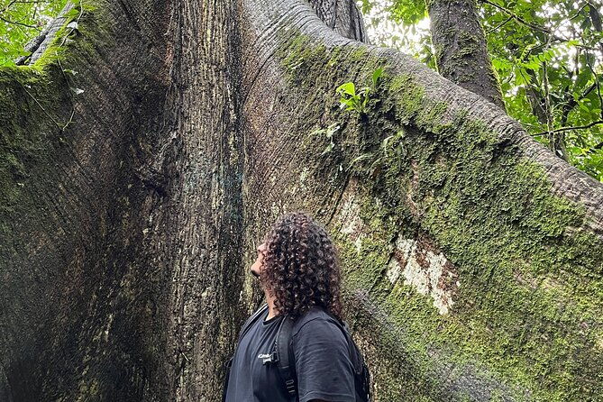 private-tour-arenal-volcano