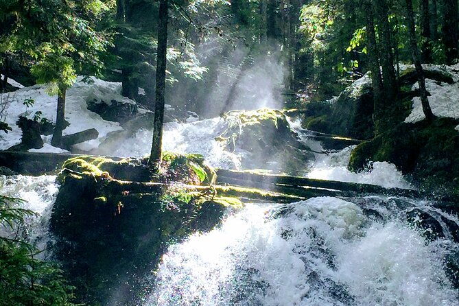 private-tour-at-the-hood-columbia-loop-timberline-orchards-and-waterfalls