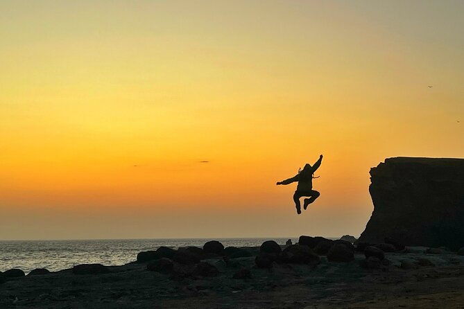 private-tour-at-the-national-reserve-of-paracas