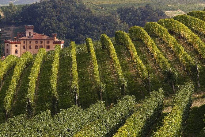 private-tour-barolo-wine-tasting-in-langhe-area-from-torino