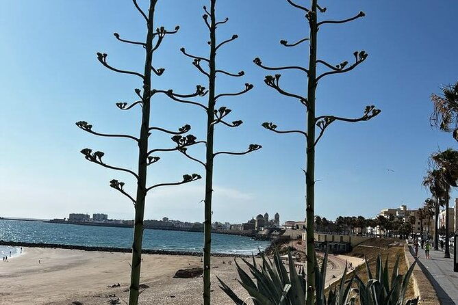 private-tour-cadiz-the-city-of-light