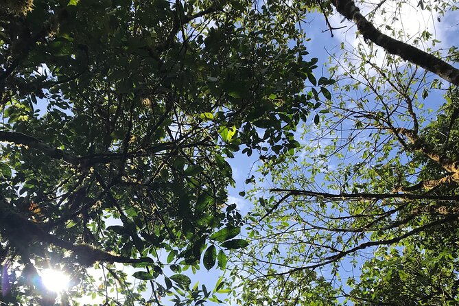 private-tour-cerro-gaital-natural-monument-trail