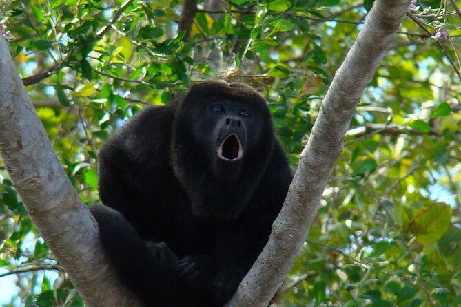 private-tour-from-guayaquil-to-churute-ecological-reserve