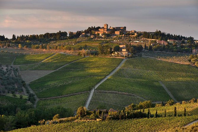 private-tour-from-livorno-port-to-chianti-wine-region