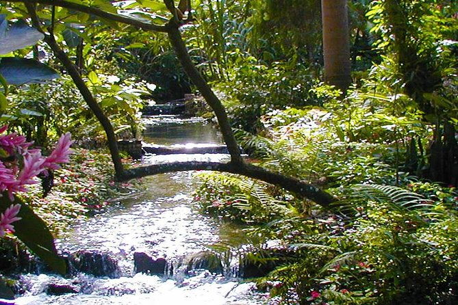 private-tour-from-ocho-rios-to-konoko-falls-and-garden-and-shopping