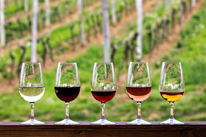 private-tour-in-douro-family-wineries-and-boat