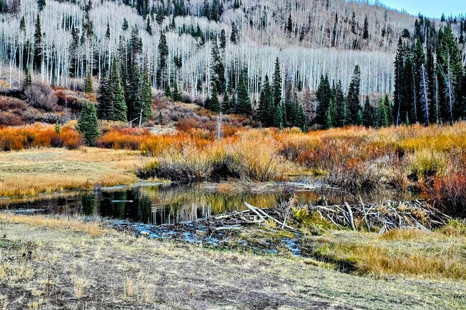 private-tour-in-heber-valley
