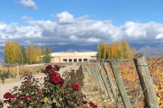 private-tour-in-valle-de-uco