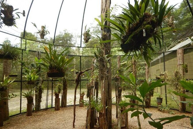 private-tour-of-musa-botanical-garden-amazon-museum
