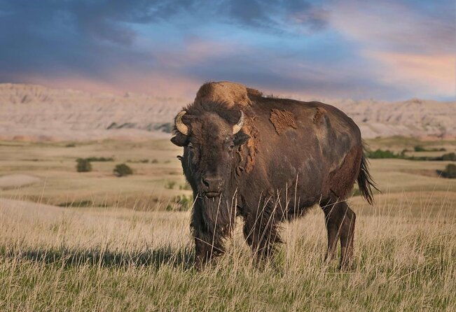private-tour-of-the-badlands-with-local-experts