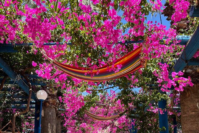 private-tour-south-crete-rethimno-old-town-preveli-beach