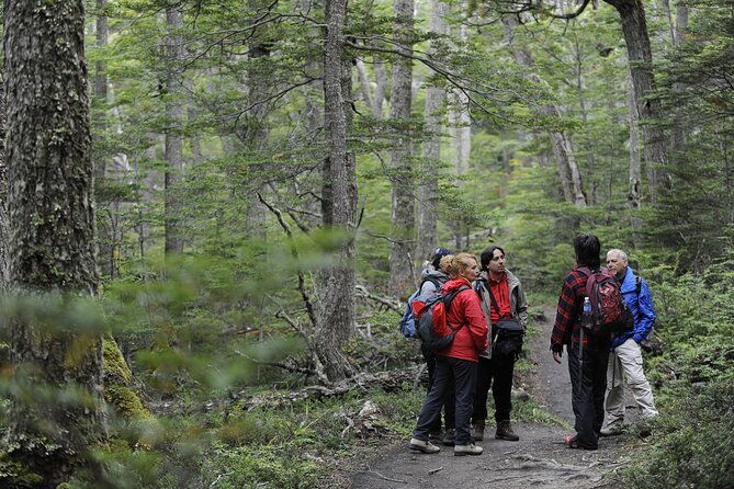 private-tour-tierra-del-fuego-national-park-trekking-canoeing-in-lapataia-bay