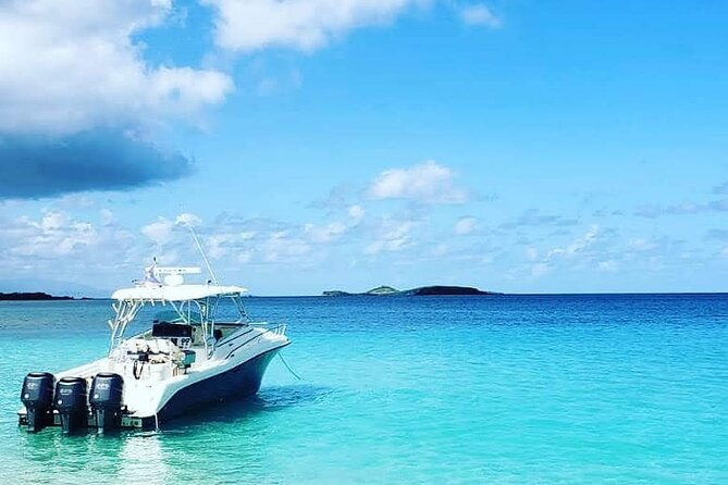 private-tour-to-cayo-icacos-and-palomino-island