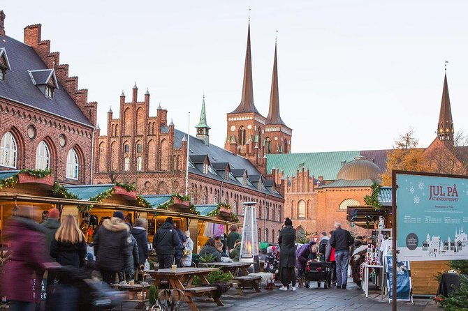 private-tour-to-vikings-city-roskilde-from-copenhagen