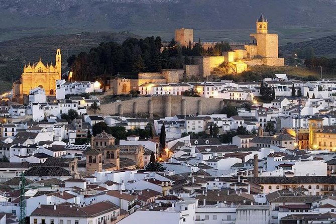 private-tours-from-malaga-to-antequera-and-the-dolmens-for-up-to-8-persons