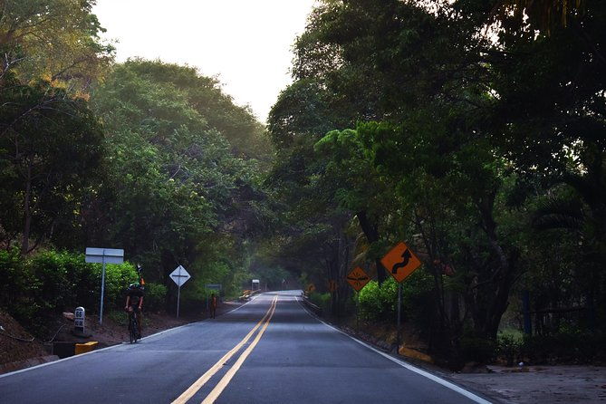 private-transportation-service-from-palomino-to-santa-marta