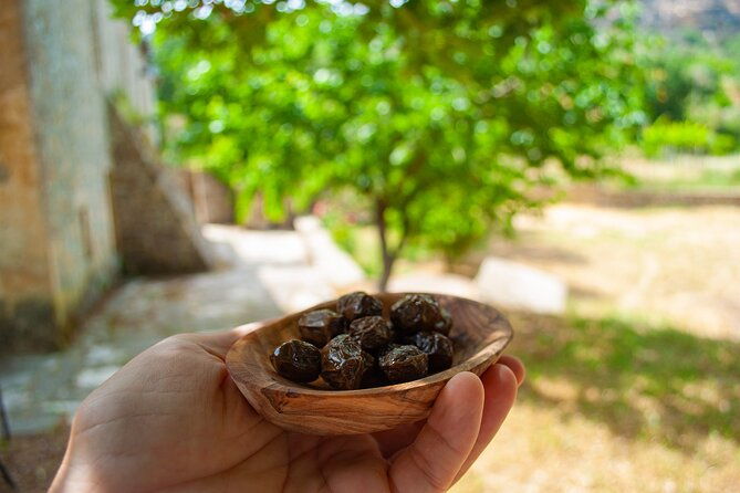 private-trip-through-the-heart-of-crete-picnic-wine-tasting