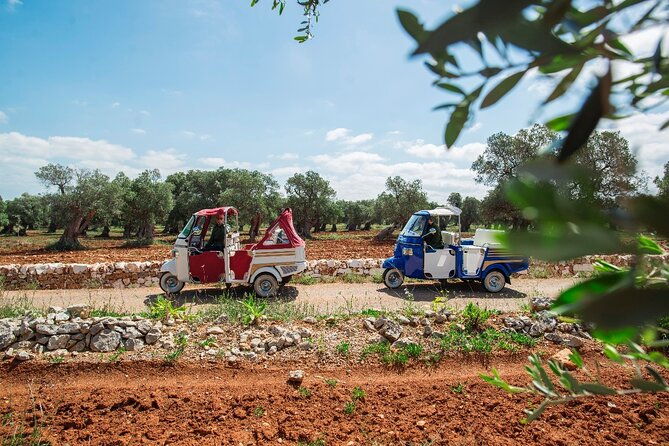 private-tuk-tuk-tour-of-the-millenary-olive-groves-in-ostuni