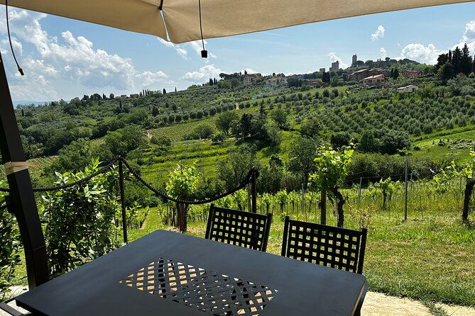 private-tuscan-lunch-with-wine-evo-oil-tasting-in-the-vineyard