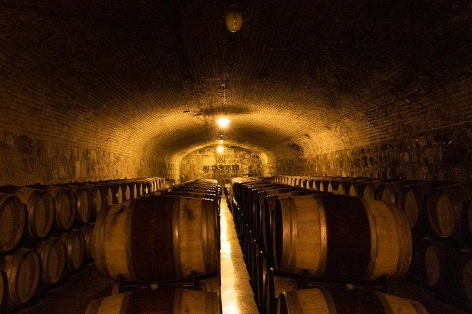 private-uco-valley-tour-paired-lunch-wine-tastings-from-mendoza
