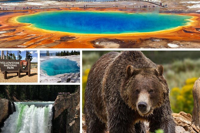 private-upper-loop-tour-of-yellowstone-national-park