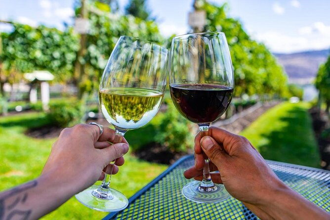 private-vineyard-tour-with-dinner-under-the-stars-in-karnas