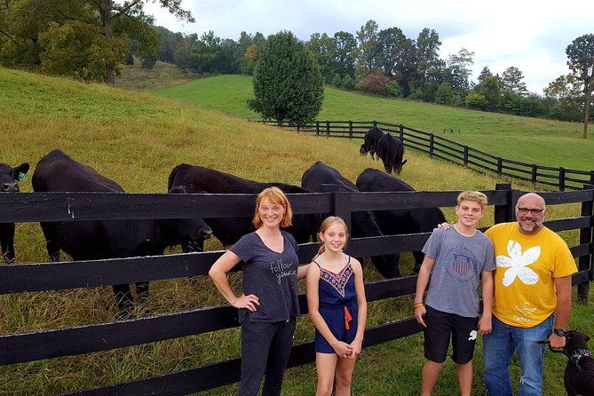 private-walking-tour-of-a-real-working-cattle-ranch