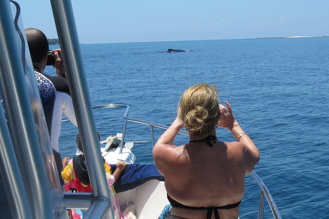 private-whale-watching-tour-at-the-pearl-islands-departing-from-panama-city