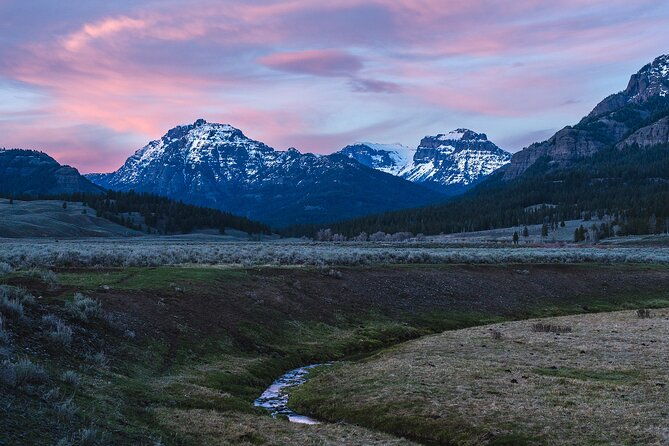 private-wildlife-photography-tour-in-yellowstone-national-park
