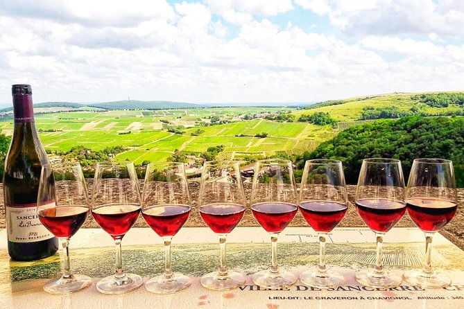 private-wine-cheese-tour-to-loire-valley-vineyards-from-paris-2