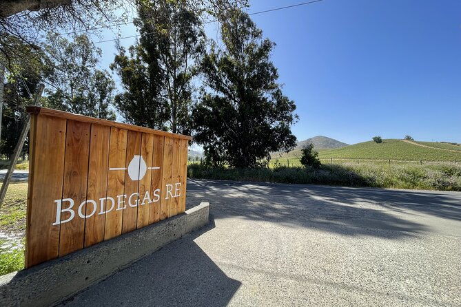 private-wine-tour-casablanca-valley