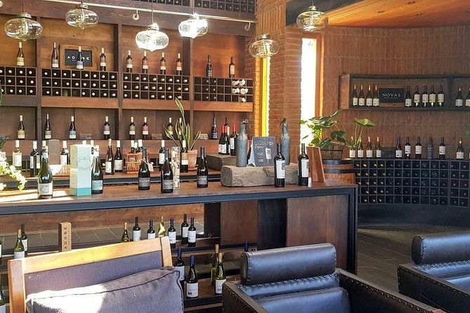 private-wine-tour-in-valparaiso
