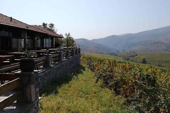 private-wine-tour-of-chateau-sopot-winery-from-skopje